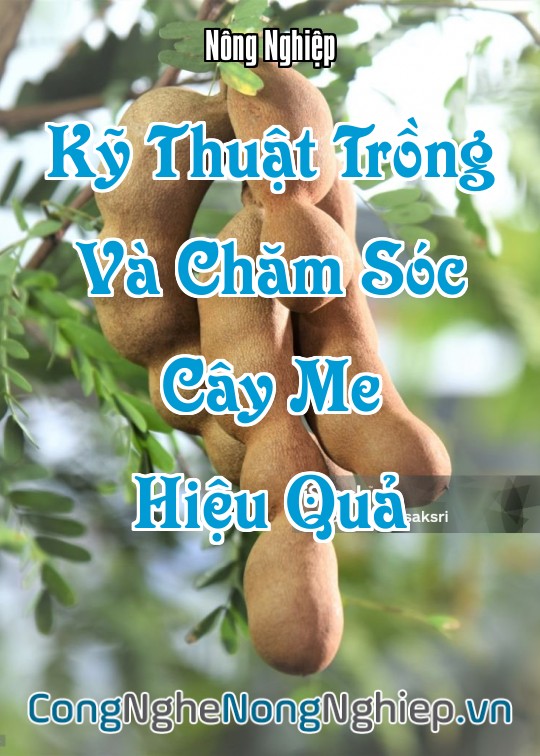 Ảnh bìa sách Kỹ Thuật Trồng Và Chăm Sóc Cây Me Hiệu Quả