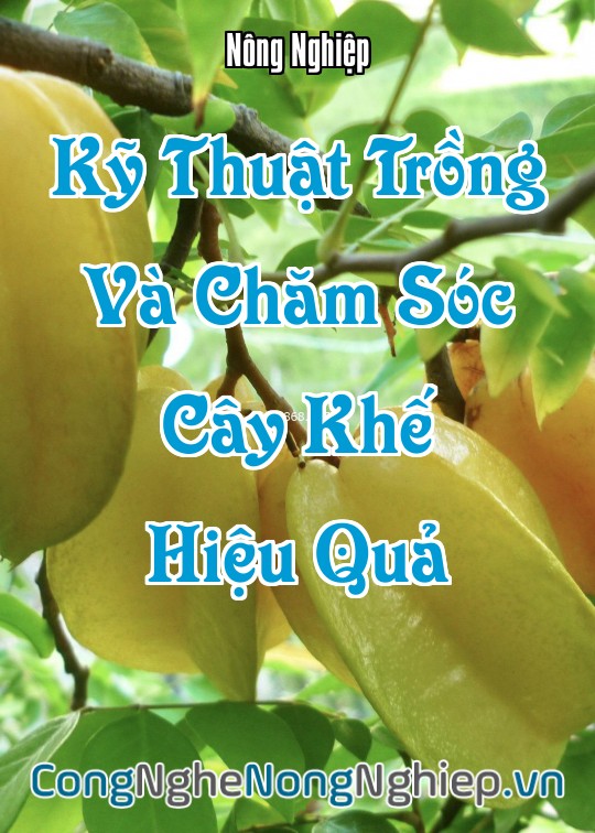 Ảnh bìa sách Kỹ Thuật Trồng Và Chăm Sóc Cây Khế Hiệu Quả