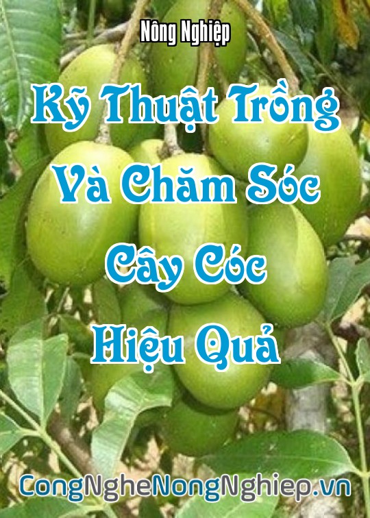 Ảnh bìa sách Kỹ Thuật Trồng Và Chăm Sóc Cây Cóc Hiệu Quả