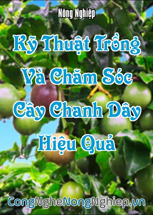 Ảnh bìa sách Kỹ Thuật Trồng Và Chăm Sóc Cây Chanh Dây Hiệu Quả