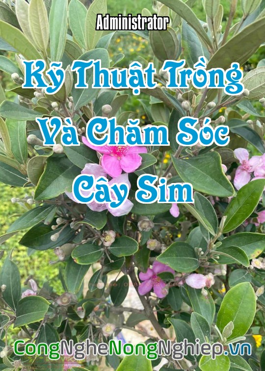 Ảnh bìa sách Kỹ Thuật Trồng Và Chăm Sóc Cây Sim