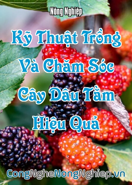 Ảnh bìa sách Kỹ Thuật Trồng Và Chăm Sóc Cây Dâu Tằm Hiệu Quả