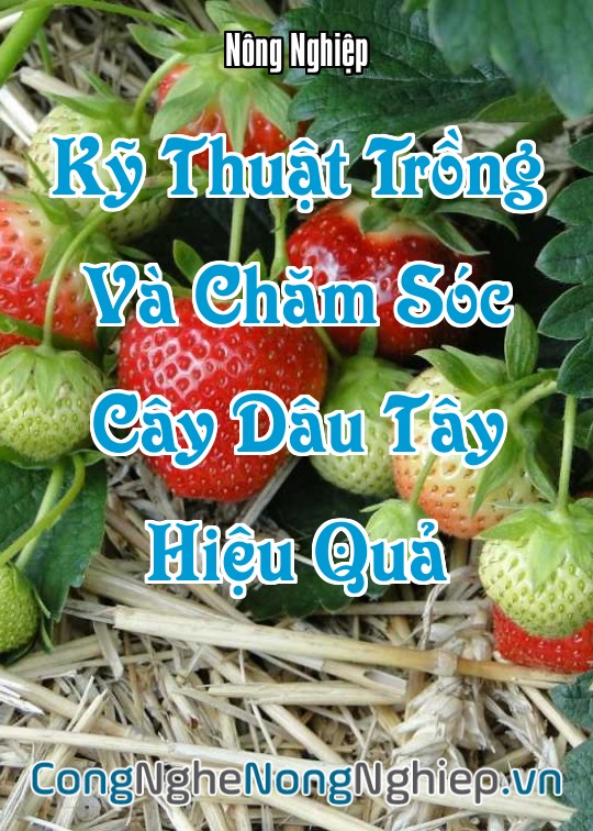 Ảnh bìa sách Kỹ Thuật Trồng Và Chăm Sóc Cây Dâu Tây Hiệu Quả