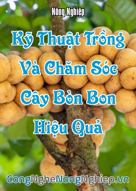 Ảnh bìa sách Kỹ Thuật Trồng Và Chăm Sóc Cây Bòn Bon Hiệu Quả