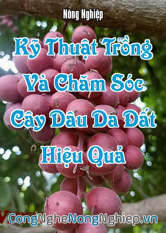 Ảnh bìa sách Kỹ Thuật Trồng Và Chăm Sóc Cây Dâu Da Đất Hiệu Quả