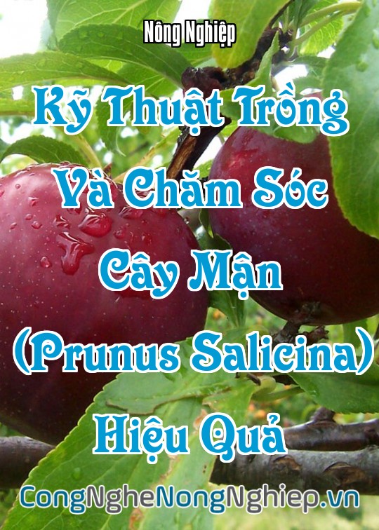 Ảnh bìa sách Kỹ Thuật Trồng Và Chăm Sóc Cây Mận (Prunus Salicina) Hiệu Quả
