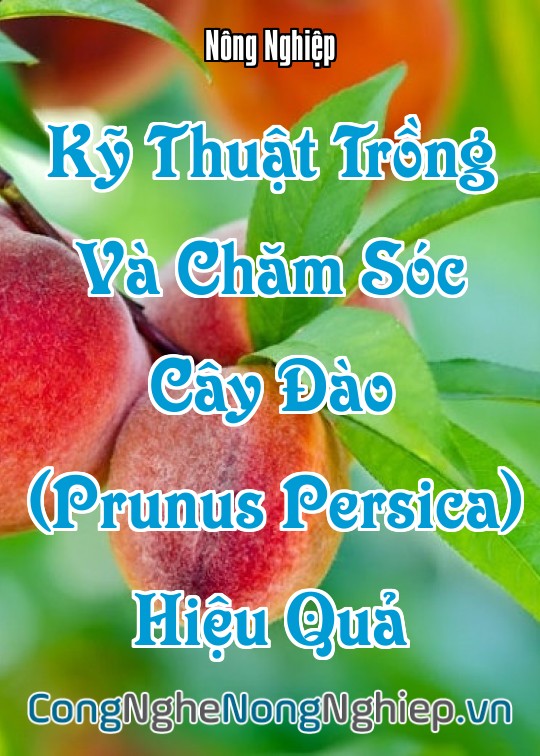 Ảnh bìa sách Kỹ Thuật Trồng Và Chăm Sóc Cây Đào (Prunus Persica) Hiệu Quả