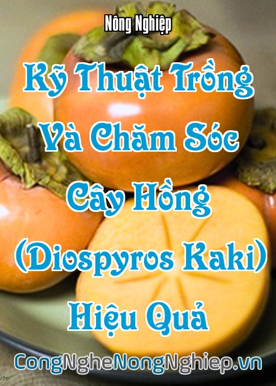 Ảnh bìa sách Kỹ Thuật Trồng Và Chăm Sóc Cây Hồng (Diospyros Kaki) Hiệu Quả