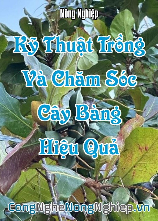 Ảnh bìa sách Kỹ Thuật Trồng Và Chăm Sóc Cây Bàng (Terminalia Catappa) Hiệu Quả