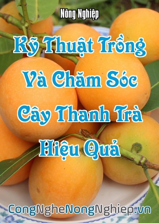 Ảnh bìa sách Kỹ Thuật Trồng Và Chăm Sóc Cây Thanh Trà (Bouea Macrophylla) Hiệu Quả