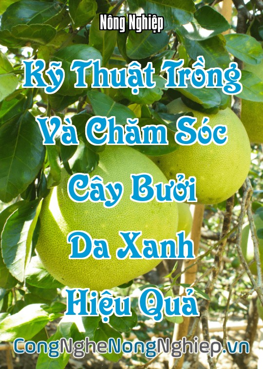 Ảnh bìa sách Kỹ Thuật Trồng Và Chăm Sóc Cây Bưởi Da Xanh Hiệu Quả