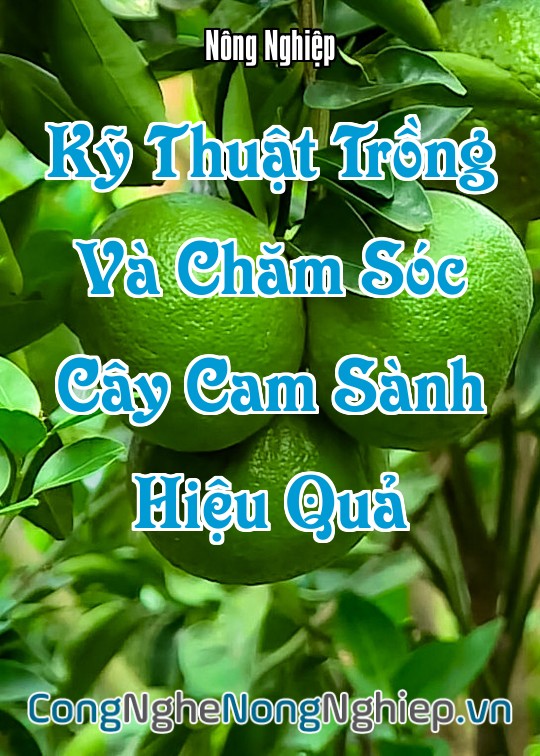 Ảnh bìa sách Kỹ Thuật Trồng Và Chăm Sóc Cây Cam Sành Hiệu Quả