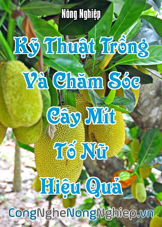 Ảnh bìa sách Kỹ Thuật Trồng Và Chăm Sóc Cây Mít Tố Nữ Hiệu Quả