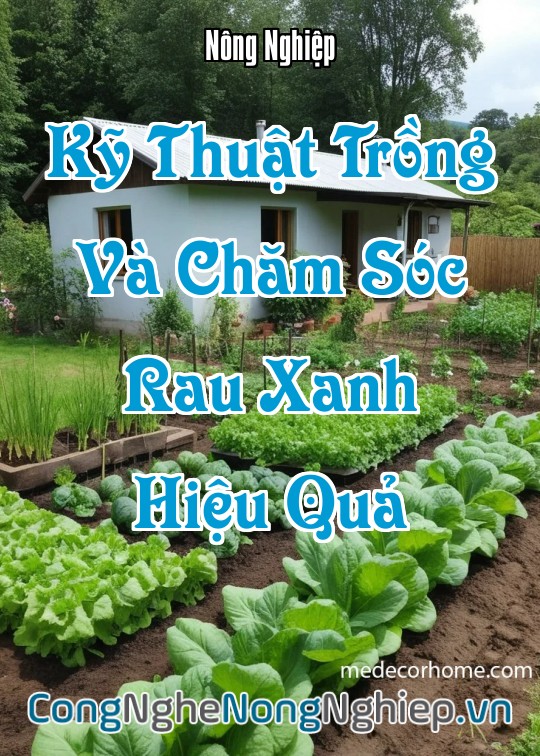 Ảnh bìa sách Kỹ Thuật Trồng Và Chăm Sóc Rau Xanh Hiệu Quả
