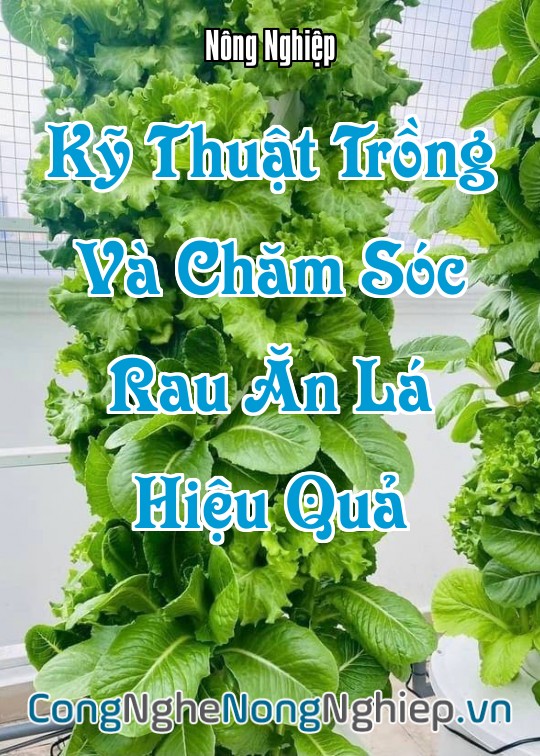 Ảnh bìa sách Kỹ Thuật Trồng Và Chăm Sóc Rau Ăn Lá Hiệu Quả