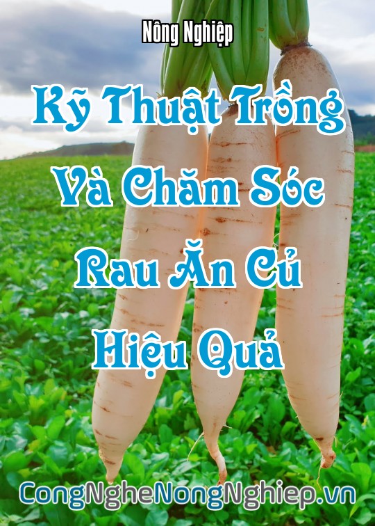 Ảnh bìa sách Kỹ Thuật Trồng Và Chăm Sóc Rau Ăn Củ Hiệu Quả
