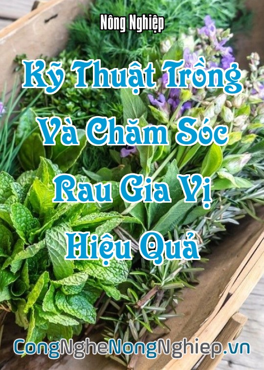 Ảnh bìa sách Kỹ Thuật Trồng Và Chăm Sóc Rau Gia Vị Hiệu Quả