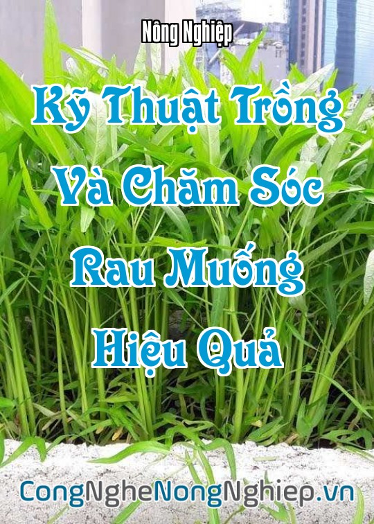 Ảnh bìa sách Kỹ Thuật Trồng Và Chăm Sóc Rau Muống Hiệu Quả