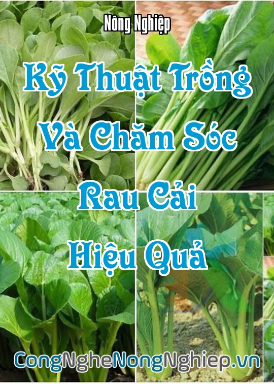 Ảnh bìa sách Kỹ Thuật Trồng Và Chăm Sóc Rau Cải Hiệu Quả