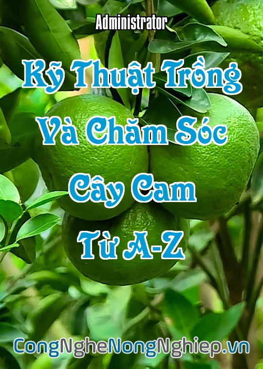 Ảnh bìa sách Kỹ Thuật Trồng Và Chăm Sóc Cây Cam Từ A-Z