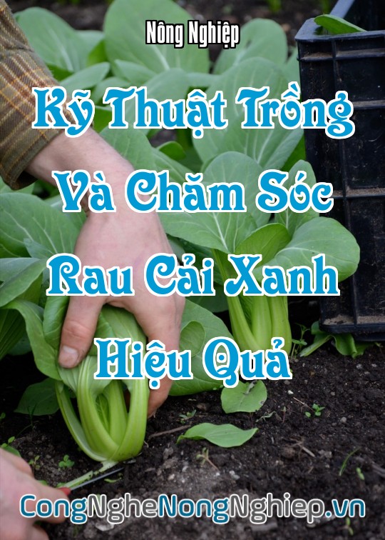 Ảnh bìa sách Kỹ Thuật Trồng Và Chăm Sóc Rau Cải Xanh Hiệu Quả