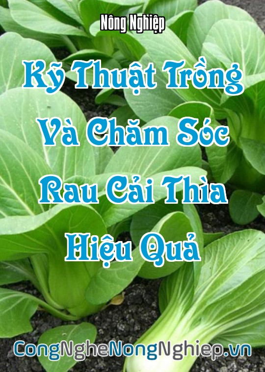 Ảnh bìa sách Kỹ Thuật Trồng Và Chăm Sóc Rau Cải Thìa Hiệu Quả