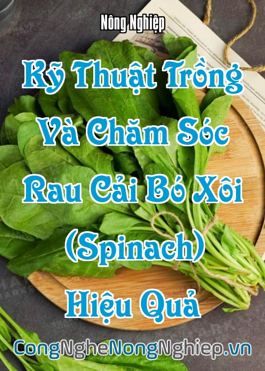 Ảnh bìa sách Kỹ Thuật Trồng Và Chăm Sóc Rau Cải Bó Xôi (Spinach) Hiệu Quả