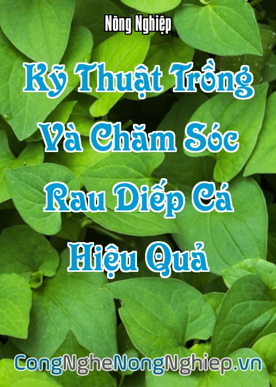 Ảnh bìa sách Kỹ Thuật Trồng Và Chăm Sóc Rau Diếp Cá Hiệu Quả