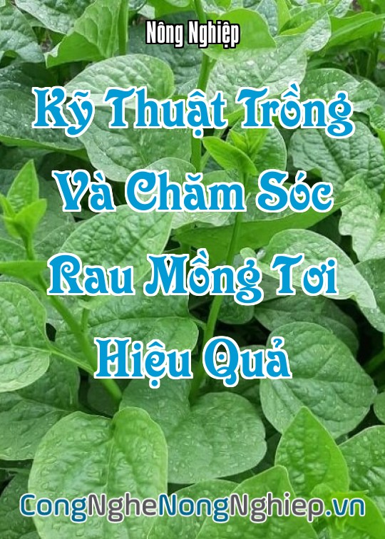 Ảnh bìa sách Kỹ Thuật Trồng Và Chăm Sóc Rau Mồng Tơi Hiệu Quả