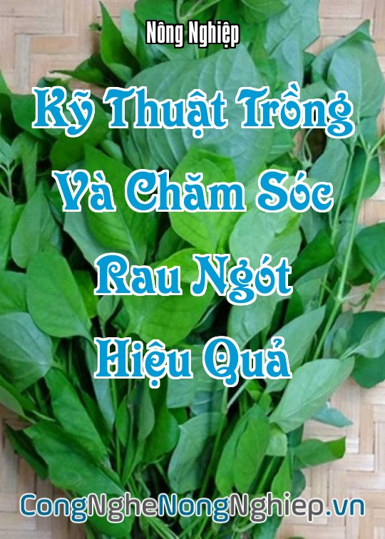 Ảnh bìa sách Kỹ Thuật Trồng Và Chăm Sóc Rau Ngót Hiệu Quả