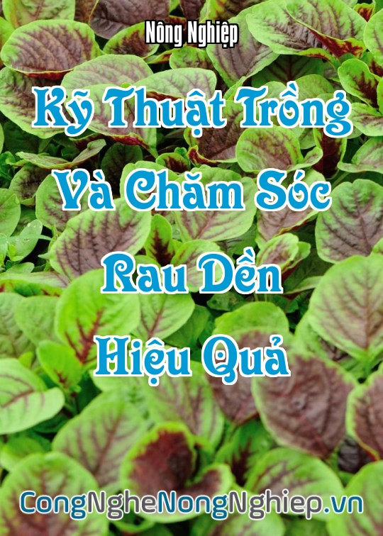 Ảnh bìa sách Kỹ Thuật Trồng Và Chăm Sóc Rau Dền Hiệu Quả