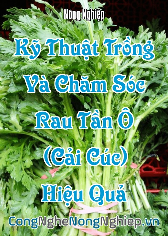 Ảnh bìa sách Kỹ Thuật Trồng Và Chăm Sóc Rau Tần Ô (Cải Cúc) Hiệu Quả