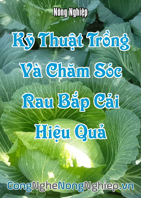 Ảnh bìa sách Kỹ Thuật Trồng Và Chăm Sóc Rau Bắp Cải Hiệu Quả