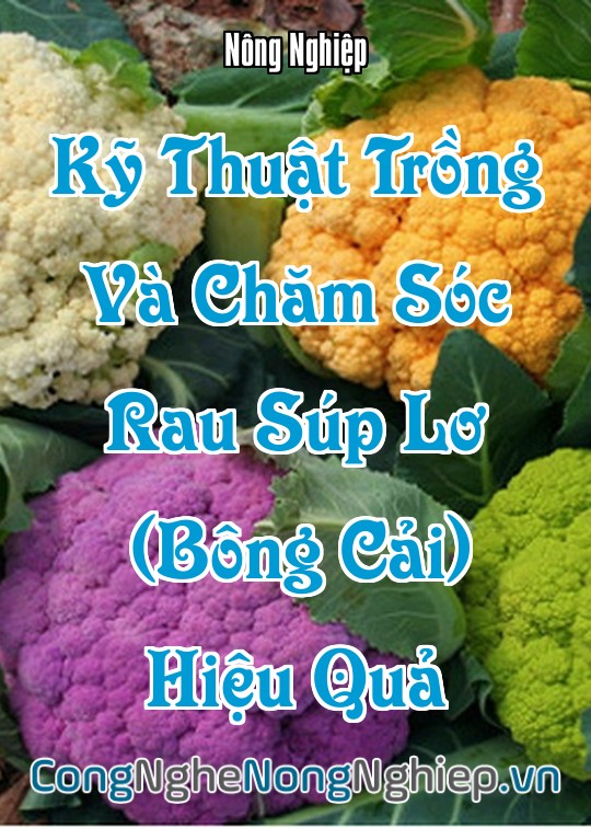 Ảnh bìa sách Kỹ Thuật Trồng Và Chăm Sóc Rau Súp Lơ (Bông Cải) Hiệu Quả
