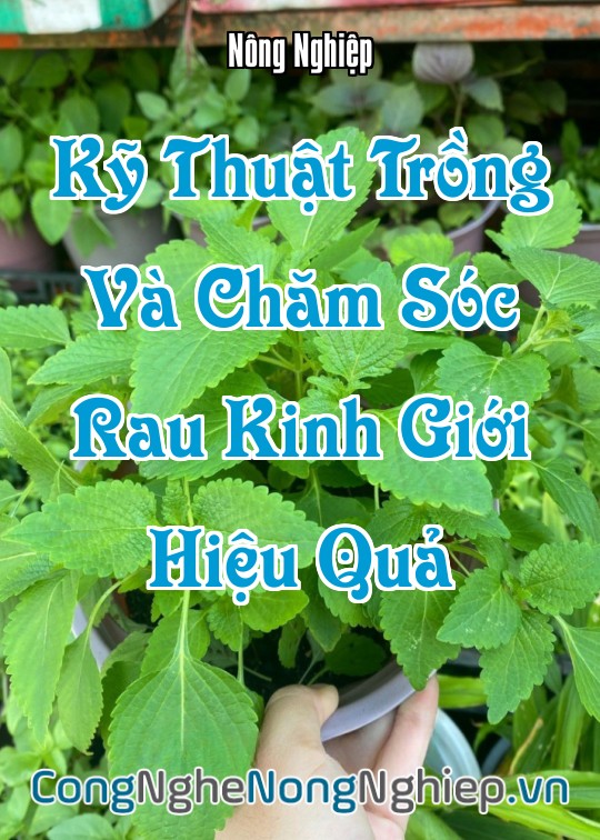Ảnh bìa sách Kỹ Thuật Trồng Và Chăm Sóc Rau Kinh Giới Hiệu Quả