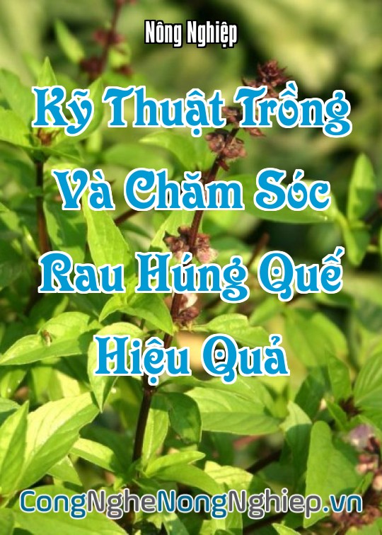 Ảnh bìa sách Kỹ Thuật Trồng Và Chăm Sóc Rau Húng Quế Hiệu Quả