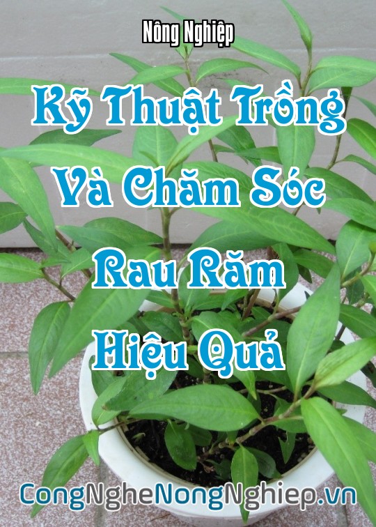 Ảnh bìa sách Kỹ Thuật Trồng Và Chăm Sóc Rau Răm Hiệu Quả