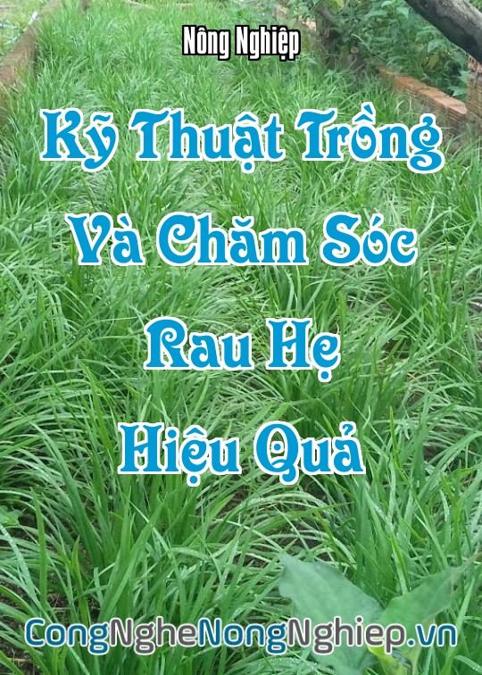 Ảnh bìa sách Kỹ Thuật Trồng Và Chăm Sóc Rau Hẹ Hiệu Quả