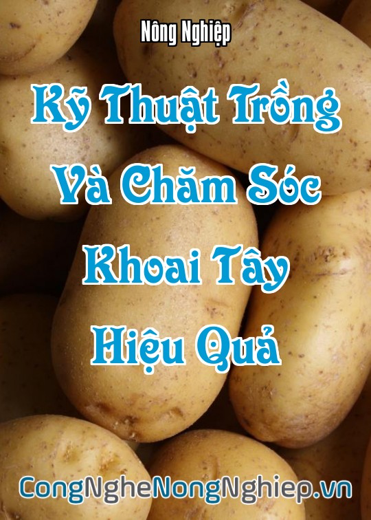 Ảnh bìa sách Kỹ Thuật Trồng Và Chăm Sóc Khoai Tây Hiệu Quả