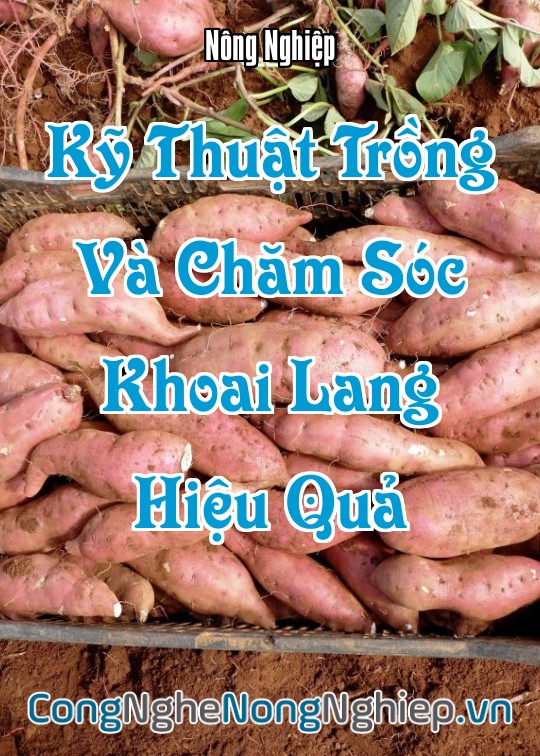 Ảnh bìa sách Kỹ Thuật Trồng Và Chăm Sóc Khoai Lang Hiệu Quả