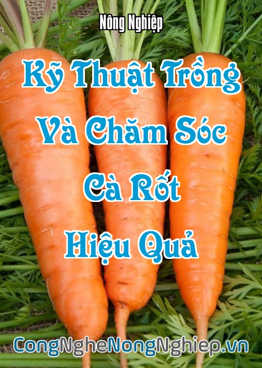 Ảnh bìa sách Kỹ Thuật Trồng Và Chăm Sóc Cà Rốt Hiệu Quả