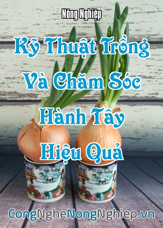 Ảnh bìa sách Kỹ Thuật Trồng Và Chăm Sóc Hành Tây Hiệu Quả