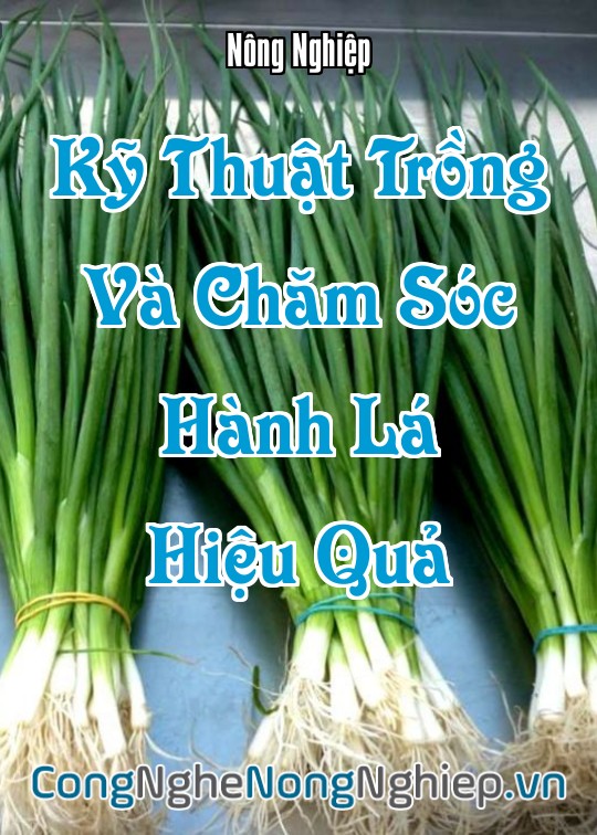 Ảnh bìa sách Kỹ Thuật Trồng Và Chăm Sóc Hành Lá Hiệu Quả