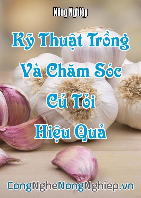 Ảnh bìa sách Kỹ Thuật Trồng Và Chăm Sóc Củ Tỏi Hiệu Quả