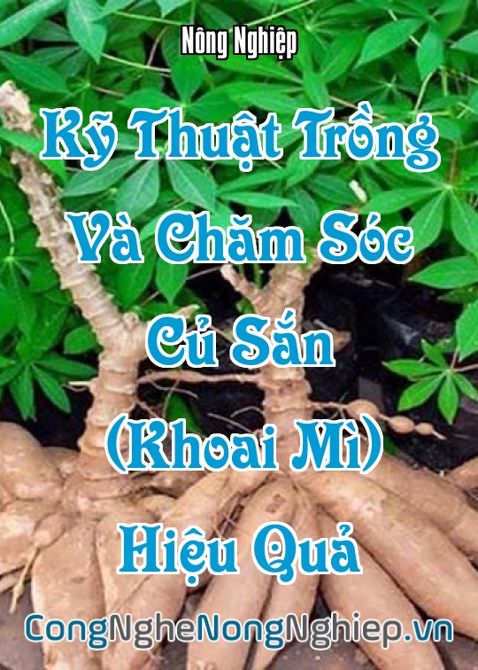 Ảnh bìa sách Kỹ Thuật Trồng Và Chăm Sóc Củ Sắn (Khoai Mì) Hiệu Quả