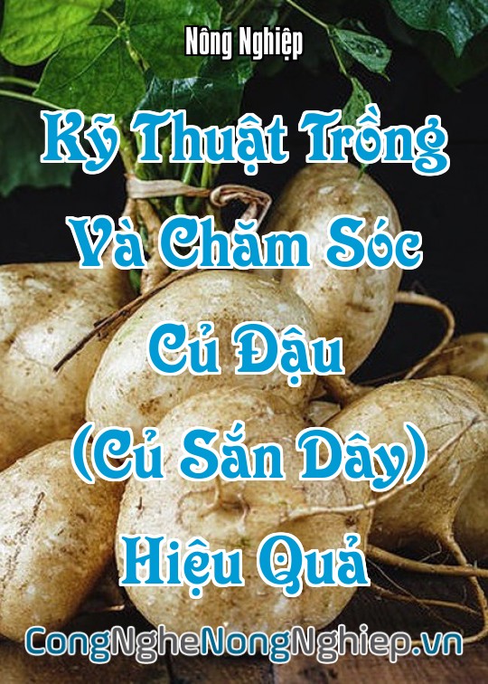 Ảnh bìa sách Kỹ Thuật Trồng Và Chăm Sóc Củ Đậu (Củ Sắn Dây) Hiệu Quả