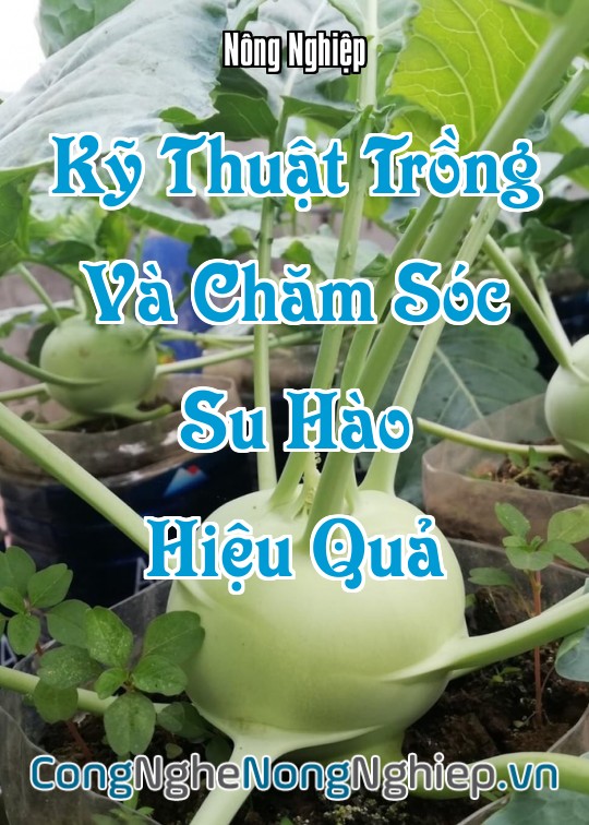 Ảnh bìa sách Kỹ Thuật Trồng Và Chăm Sóc Su Hào Hiệu Quả