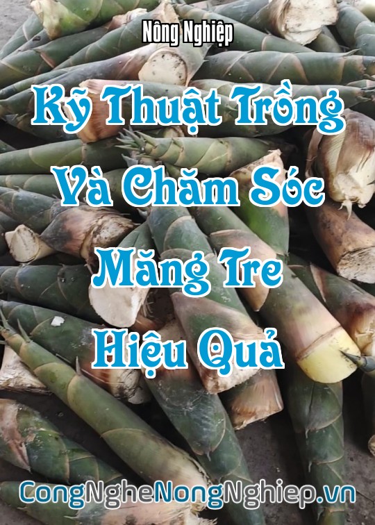 Ảnh bìa sách Kỹ Thuật Trồng Và Chăm Sóc Măng Hiệu Quả
