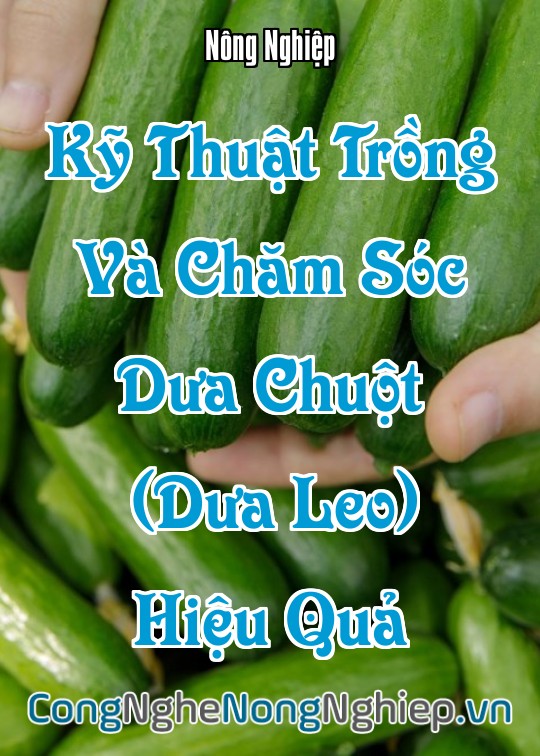 Ảnh bìa sách Kỹ Thuật Trồng Và Chăm Sóc Dưa Chuột (Dưa Leo) Hiệu Quả