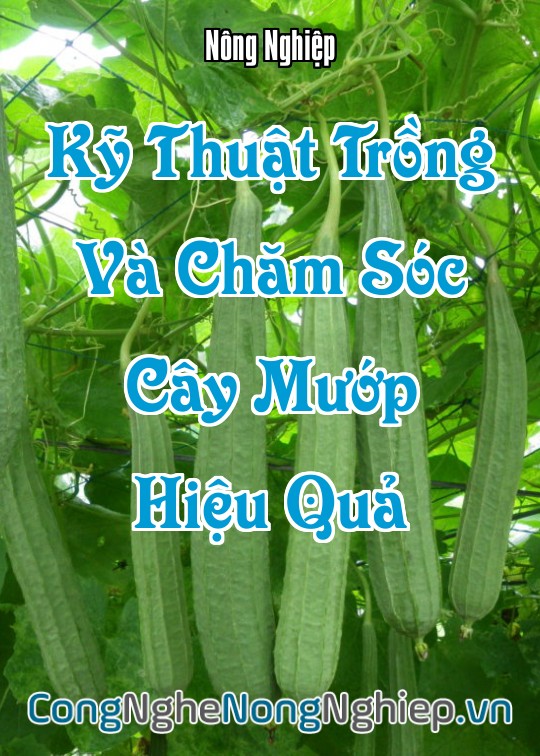 Ảnh bìa sách Kỹ Thuật Trồng Và Chăm Sóc Cây Mướp Hiệu Quả